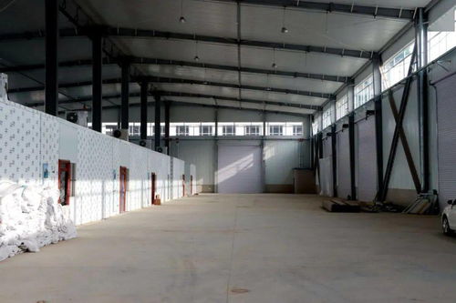 嗨購(gòu)新年 會(huì)寧朝陽農(nóng)產(chǎn)品交易中心將于元旦盛大開業(yè)